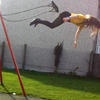 18691 - Perfectly Timed Photos