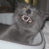 84840 - Unmoderated Photos Taken At Just The Right Moment - 11
