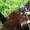 64391 - Unmoderated Photos Taken At Just The Right Moment - 32
