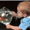65931 - Perfectly Timed Photos