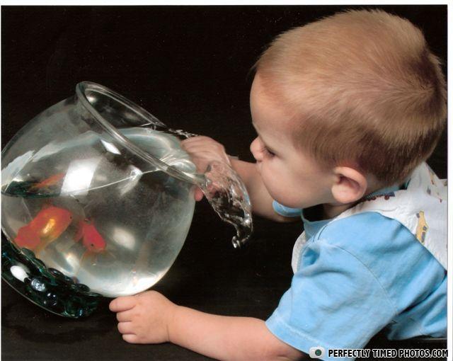  - momma, these crackers can move!