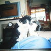 83623 - Unmoderated Photos Taken At Just The Right Moment - 210