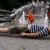 33382 - Perfectly Timed Photos