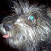 83200 - Unmoderated Photos Taken At Just The Right Moment - 208