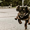 44012 - Unmoderated Photos Taken At Just The Right Moment - 89