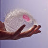 85908 - Unmoderated Photos Taken At Just The Right Moment - 186