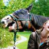 67175 - Perfectly Timed Photos