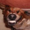 47342 - Unmoderated Photos Taken At Just The Right Moment - 201