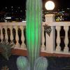 63757 - Unmoderated Photos Taken At Just The Right Moment - 215