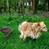 47210 - Unmoderated Photos Taken At Just The Right Moment - 201