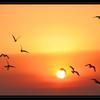 57989 - Unmoderated Photos Taken At Just The Right Moment - 203