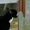 52884 - Unmoderated Photos Taken At Just The Right Moment - 2