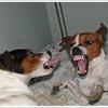 67796 - Unmoderated Photos Taken At Just The Right Moment - 218