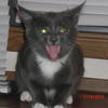 44940 - Unmoderated Photos Taken At Just The Right Moment - 3