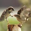 153952 - Unmoderated Photos Taken At Just The Right Moment - 216