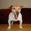 81985 - Unmoderated Photos Taken At Just The Right Moment - 161