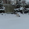 57526 - Unmoderated Photos Taken At Just The Right Moment - 203