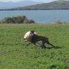 64214 - Unmoderated Photos Taken At Just The Right Moment - 50
