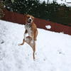 86799 - Unmoderated Photos Taken At Just The Right Moment - 234