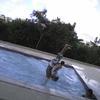 82587 - Unmoderated Photos Taken At Just The Right Moment - 11