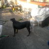 85313 - Unmoderated Photos Taken At Just The Right Moment - 186