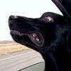 58810 - Unmoderated Photos Taken At Just The Right Moment - 203