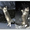 53158 - Unmoderated Photos Taken At Just The Right Moment - 215