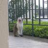 86232 - Unmoderated Photos Taken At Just The Right Moment - 209