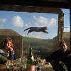 53280 - Perfectly Timed Photos