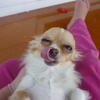 67253 - Unmoderated Photos Taken At Just The Right Moment - 212
