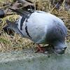 54782 - Unmoderated Photos Taken At Just The Right Moment - 9