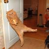48019 - Perfectly Timed Photos