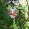72520 - Unmoderated Photos Taken At Just The Right Moment - 215