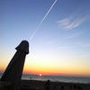 Perfectlytimedphotos-com-c2b120