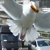 21018 - Unmoderated Photos Taken At Just The Right Moment - 1