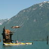 21895 - Unmoderated Photos Taken At Just The Right Moment - 1