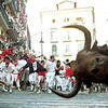 83345 - Perfectly Timed Photos