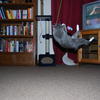 23352 - Unmoderated Photos Taken At Just The Right Moment - 1