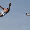 72768 - Perfectly Timed Photos