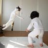 33605 - Perfectly Timed Photos