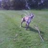 26136 - Unmoderated Photos Taken At Just The Right Moment - 250