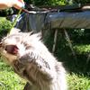 29849 - Unmoderated Photos Taken At Just The Right Moment - 39
