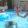30610 - Popular Photos Taken At Just The Right Moment - 26