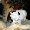 34089 - Unmoderated Photos Taken At Just The Right Moment - 1