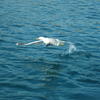 34596 - Unmoderated Photos Taken At Just The Right Moment - 13