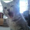 36742 - Unmoderated Photos Taken At Just The Right Moment - 208
