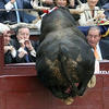 133857 - Perfectly Timed Photos